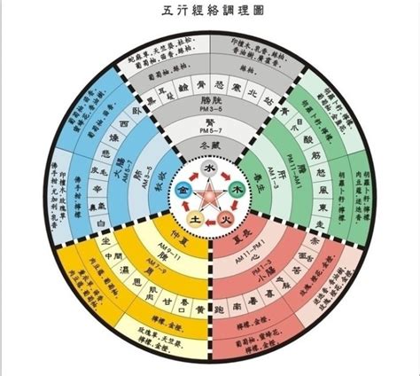 五術是什麼|五术（仙、医、命、卜、相的合称）